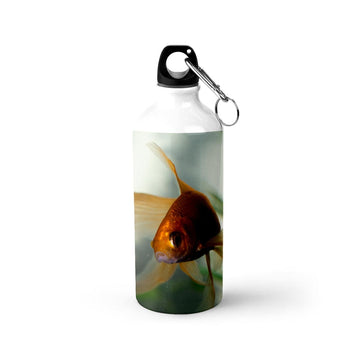 AquaLife SingleWalled WaterBottle 600ml