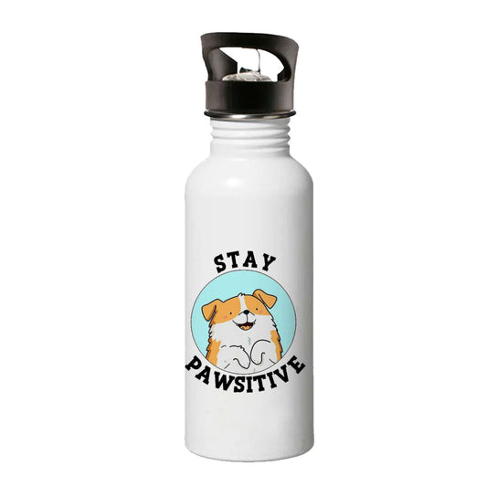 Chillaao stay positive dog sipper bottle