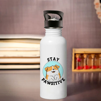 Chillaao stay positive dog sipper bottle