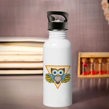 Chillaao triangle owl sipper bottle