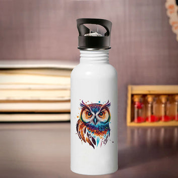 Chillaao colorful owl sipper bottle